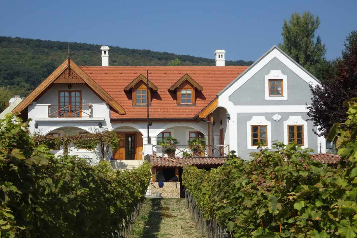 Csopak – családi ház / kiadó-eladó